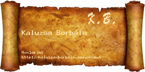 Kaluzsa Borbála névjegykártya